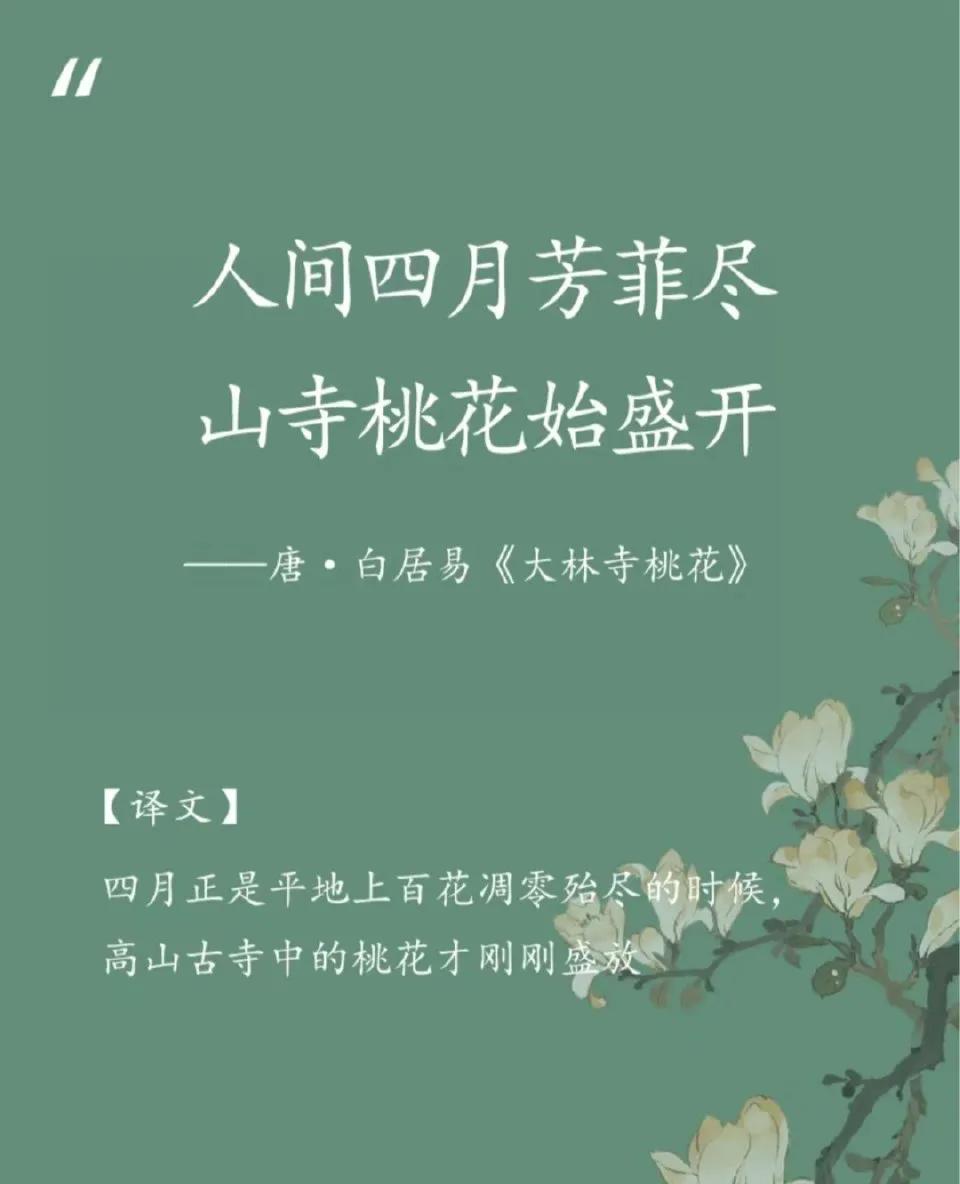 “ 那些藏在诗词里的春日浪漫 ... ” 
  