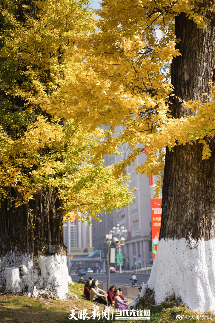 【】冬日时节，贵阳南明区花果园