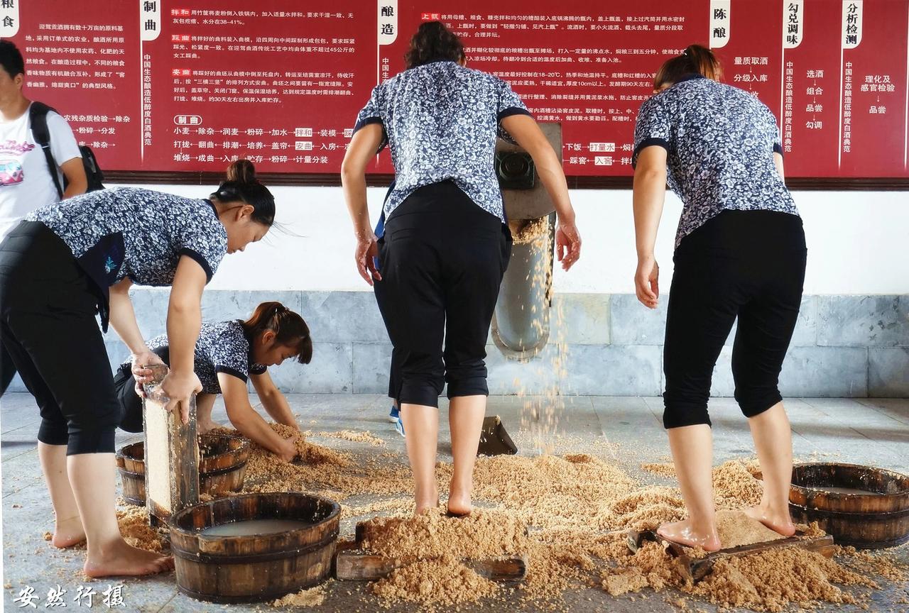 茅台女员工在车间现场照片遭曝光，操作方式引网友热议：我是受不了

照片上是几位身