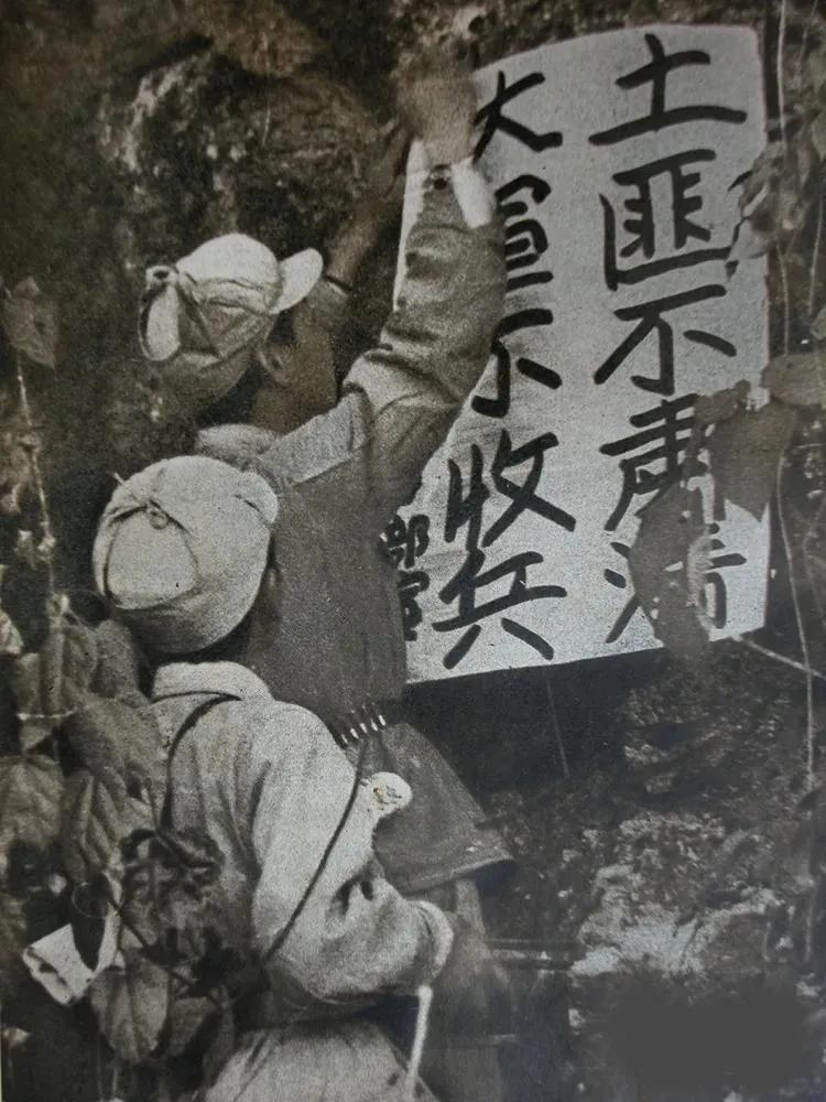 1943年，女土匪吕芪见很多男人垂涎自己的美颜，竟然说：“想和我睡觉不难，我一不
