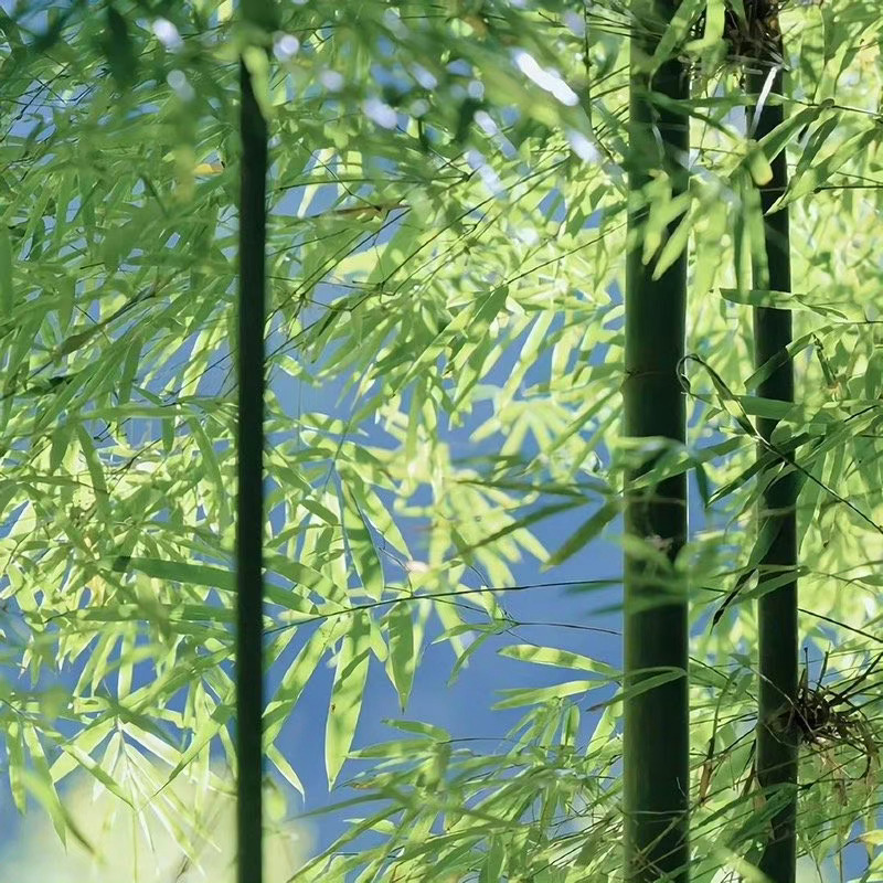  ʚ🧸ྀིɞ²⁰²³/₃.₂₃ 𝑳𝒐𝒗𝒆 𝒚𝒐𝒖𝒓𝒔𝒆𝒍