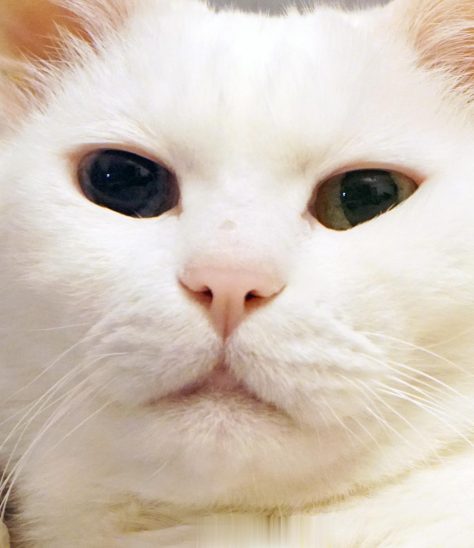 我要親你嘴邊肉五下！！ ​​​