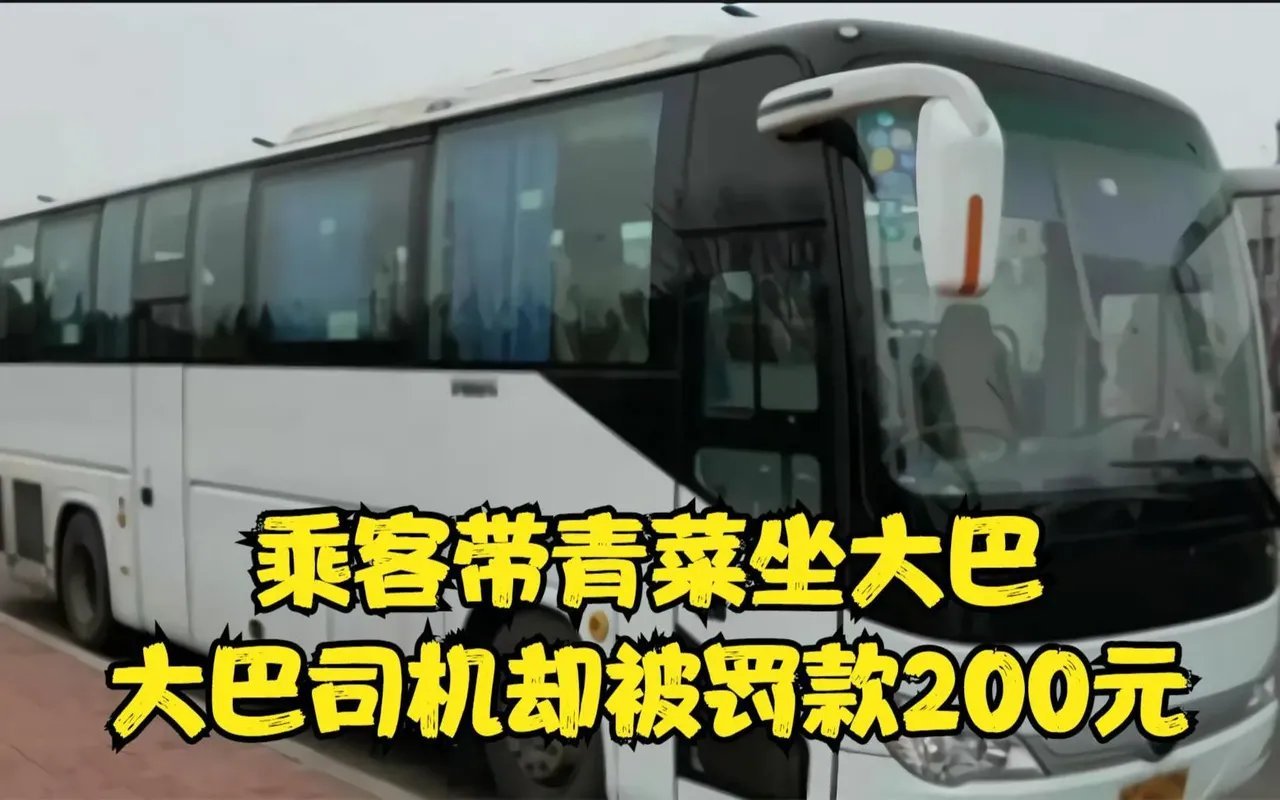 乘客带白菜萝卜上车，大巴司机竟被罚款200元，工作人员：违规拉货！湖北一辆大巴车