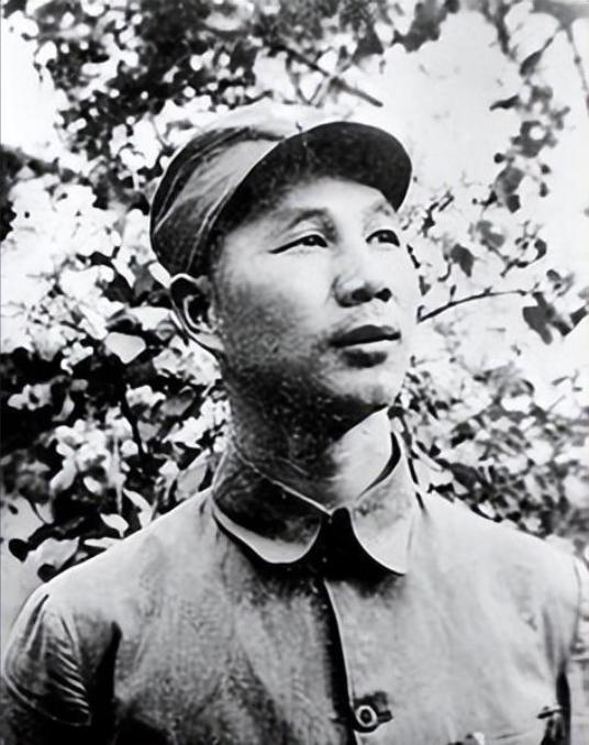 #历史那些事[超话]#侦察员揪出一乞丐，他的兜里装满小米，杨成武急令：将他就地正