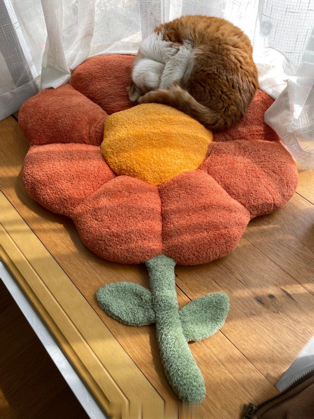  今天妇女节，好像不关我们这个花儿与少……呃成年的事，大概只想鼓励一下这个家里的