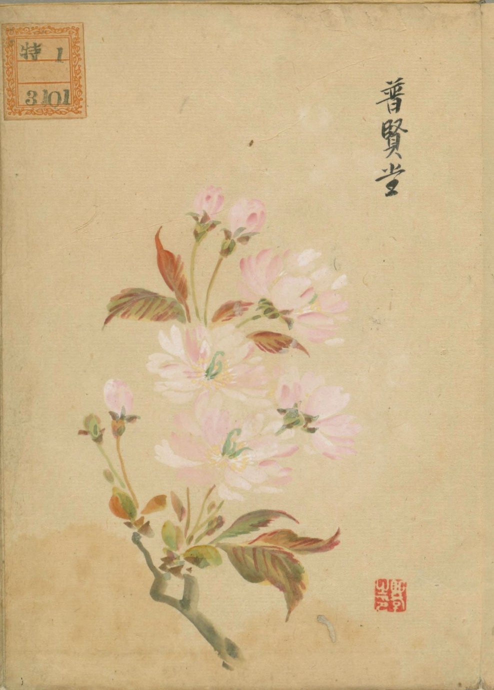 #浙江选育出了螺蛳粉樱花# 有机会去观赏浙江培育的螺蛳粉樱花，一定要一边吃螺蛳粉