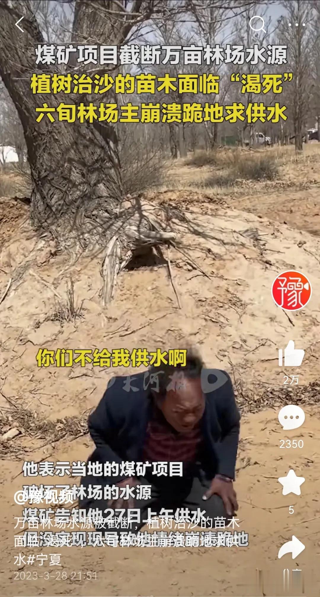 从男主人公孙国友的行为透露出：愤怒、无助、卑微、乞求、痛苦……黝黑的皮肤，下跪的