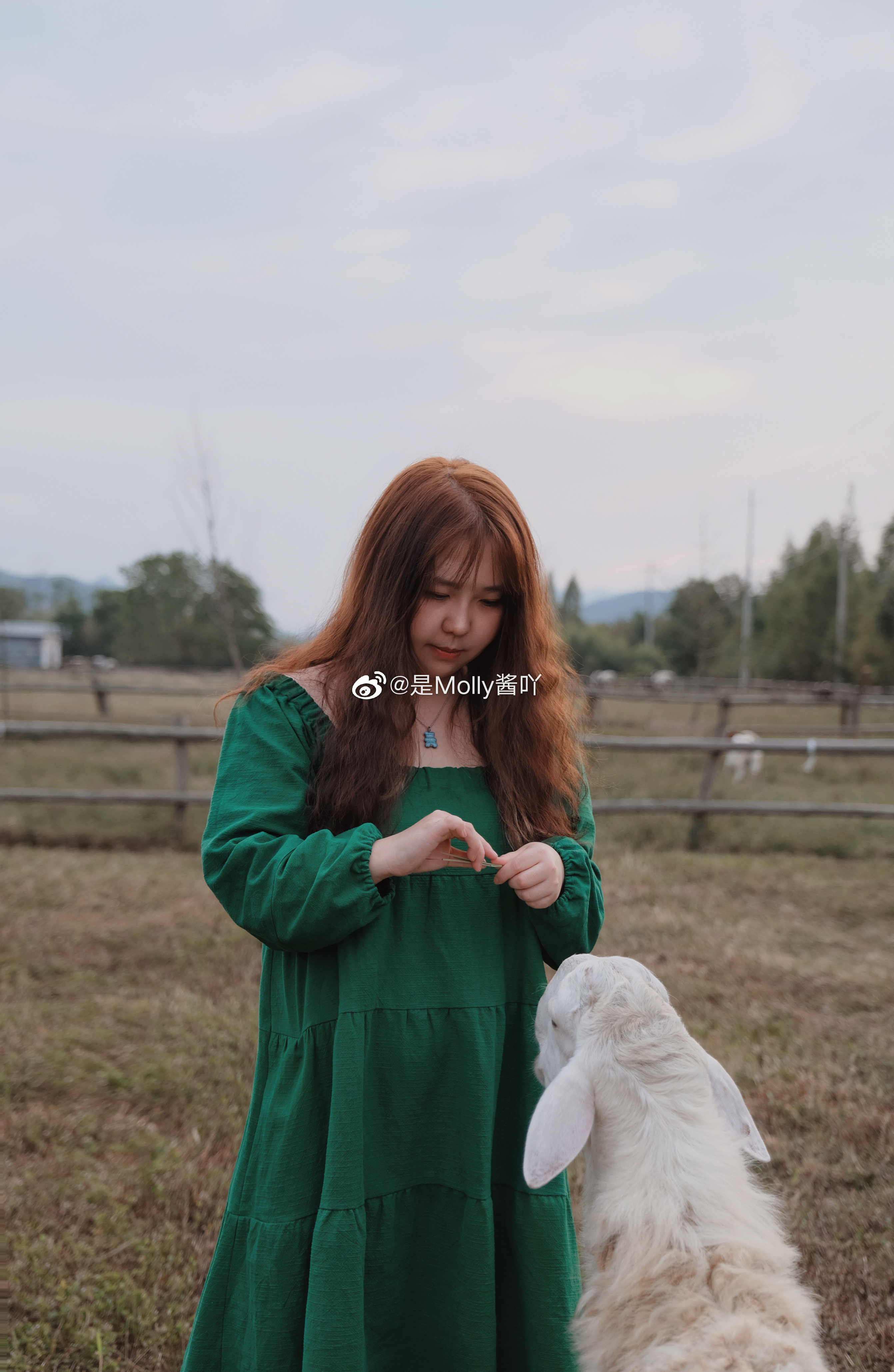 ᴹᴼᴸᴸᵞ ᴾᴸᴼᴳ越逃离城市，越想更接近大自然在莫干山寻到了有机牧场🌾羊群牛