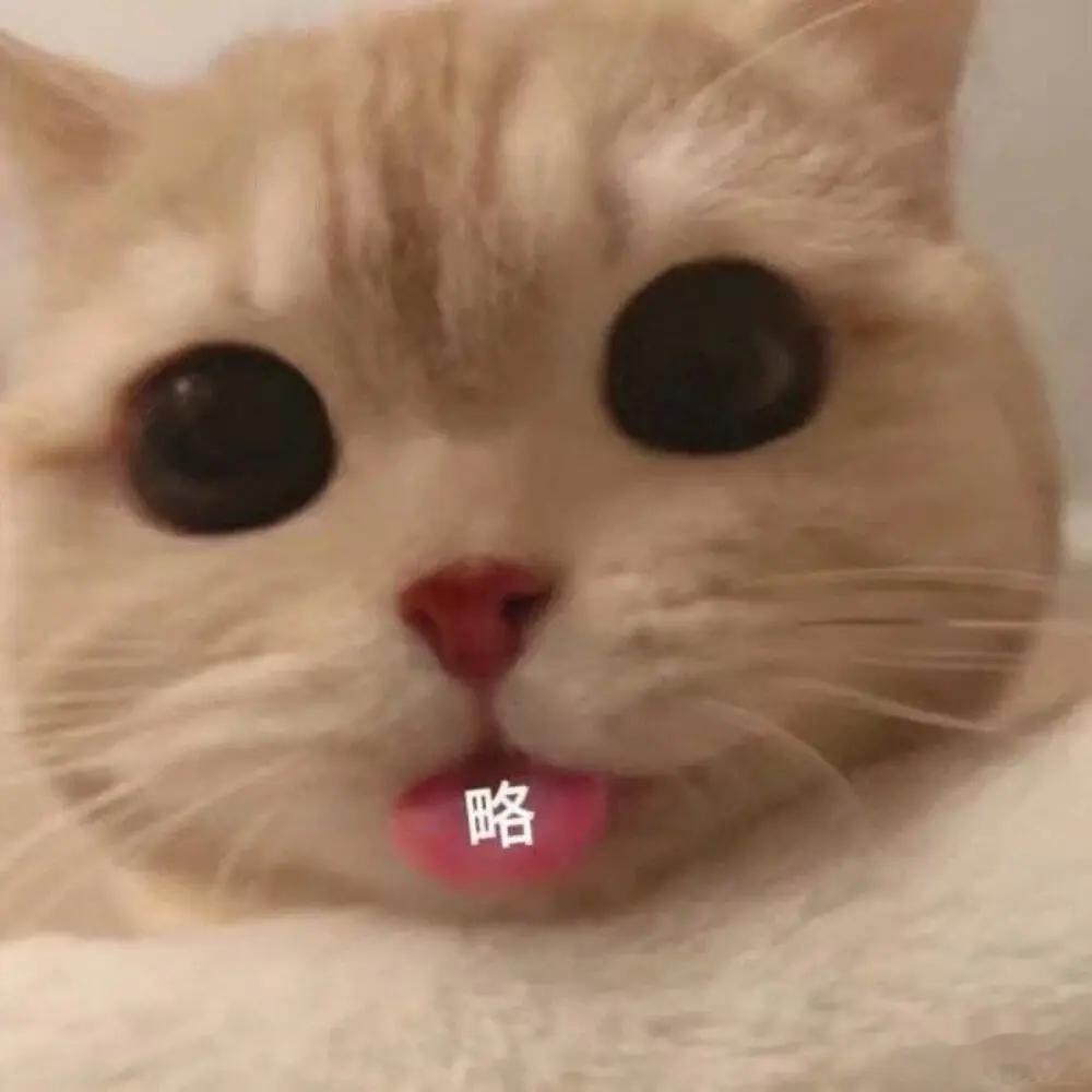 进来如愿以偿地看到大家一片沸腾的花式骂声，我点点头满意地出去了。 ​​​