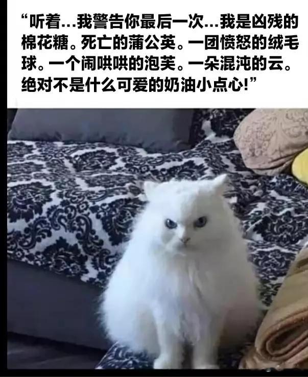 我眼中生气的狮子座be lik