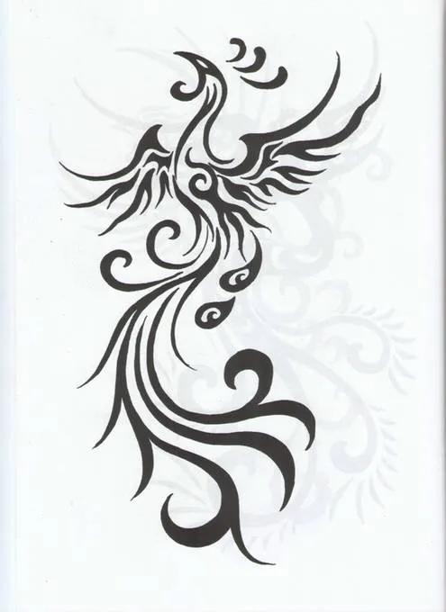 素材 | 中国传统凤凰和老虎的图腾图案16图
  