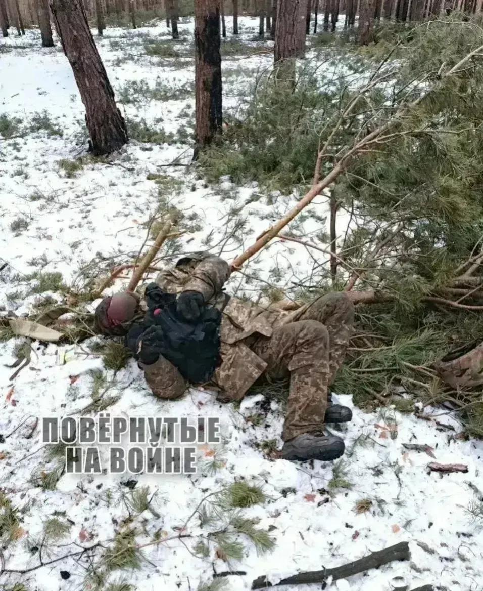 这是俄乌战争军人战死疆场后的画面，实在是太惨了。在这冰天雪地的战场上，这几名军人