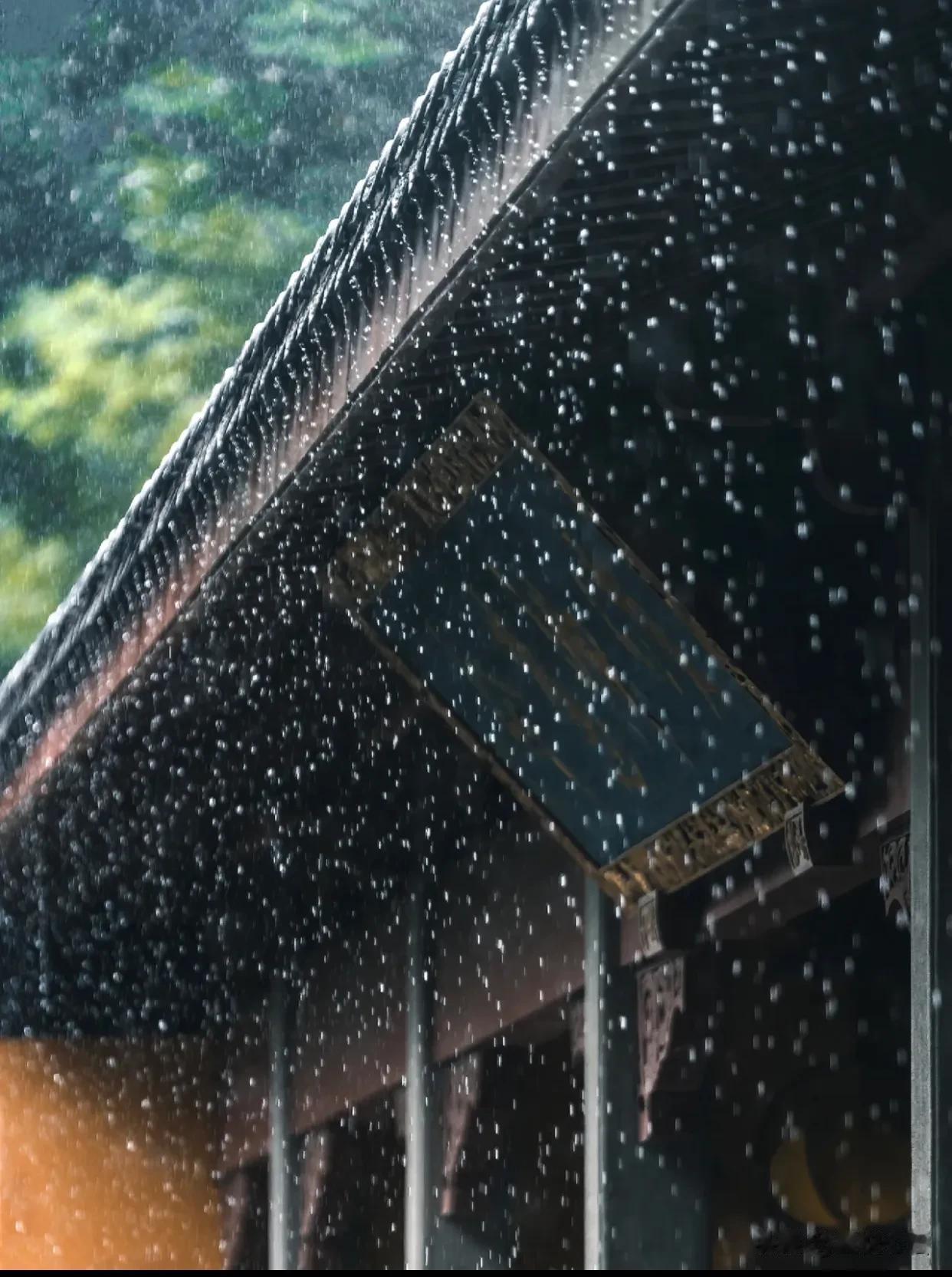 灵隐寺春日的雨，是我见过最有祥意的！
~
灵隐听雨。让我想起蒋捷的那首词
“而今