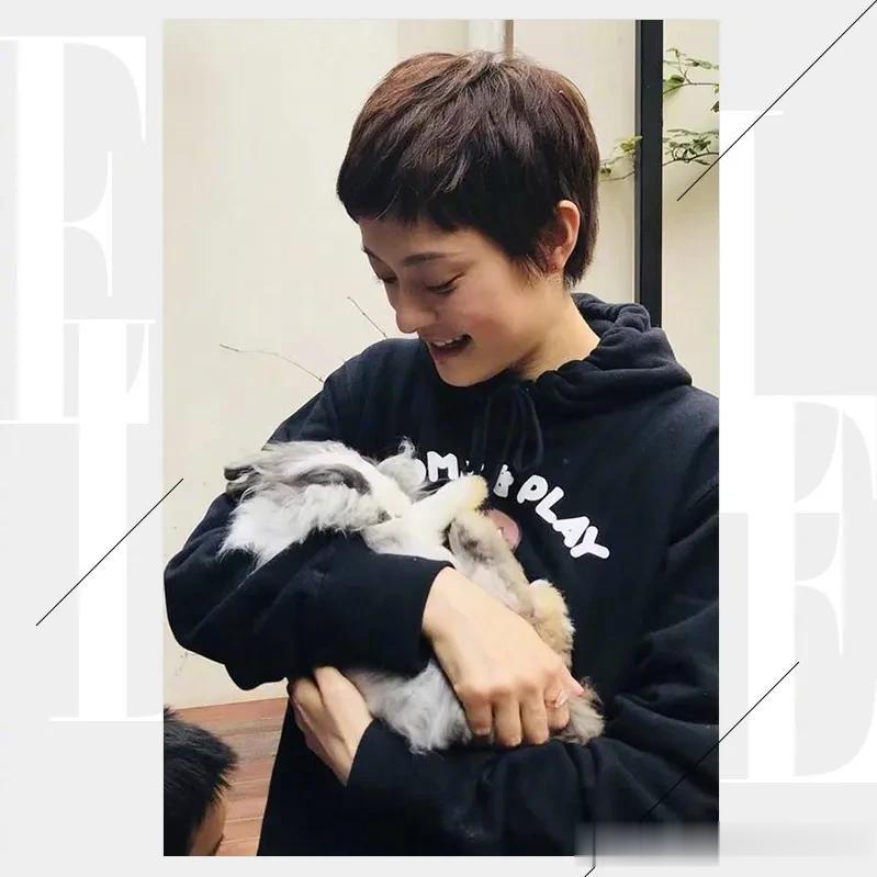   在这场疫情中，受到创伤的不仅仅是人类，还有我们最好的伙伴和家人——可爱的宠物