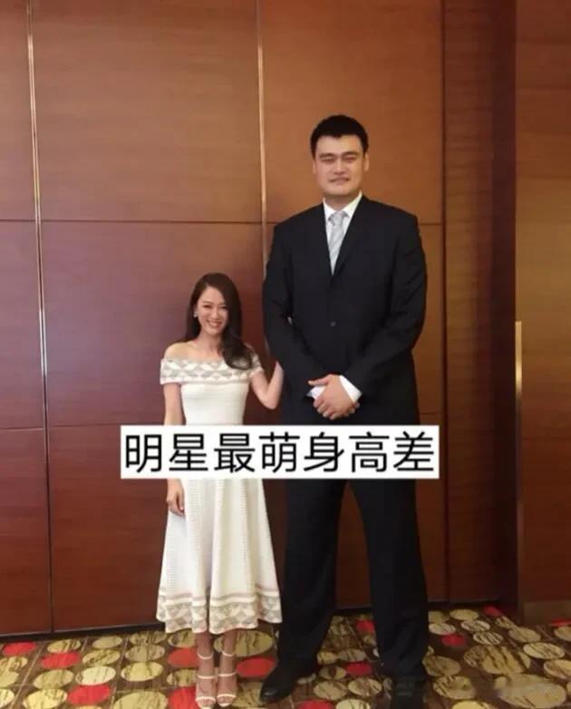 娱乐圈最萌身高差