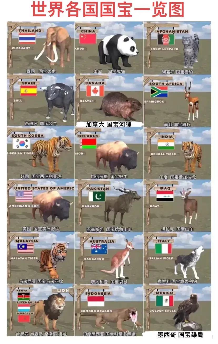 世界各个国家的国宝动物都有什么
