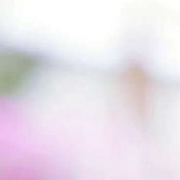春风迎面吹来的时候，我就站在你身后，就好像，春天正在把你推向我。情人节快乐[心]