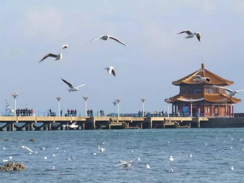 满意度前十位，有你所在的城市吗？

肆虐了三年的新冠疫情终于告一段落，禁锢了三年
