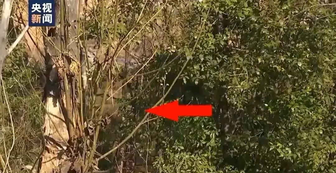 胡鑫宇自杀的地方，阴森森的！

不知道他知不知道这个地方可能是蛇鼠的窝？[衰]，
