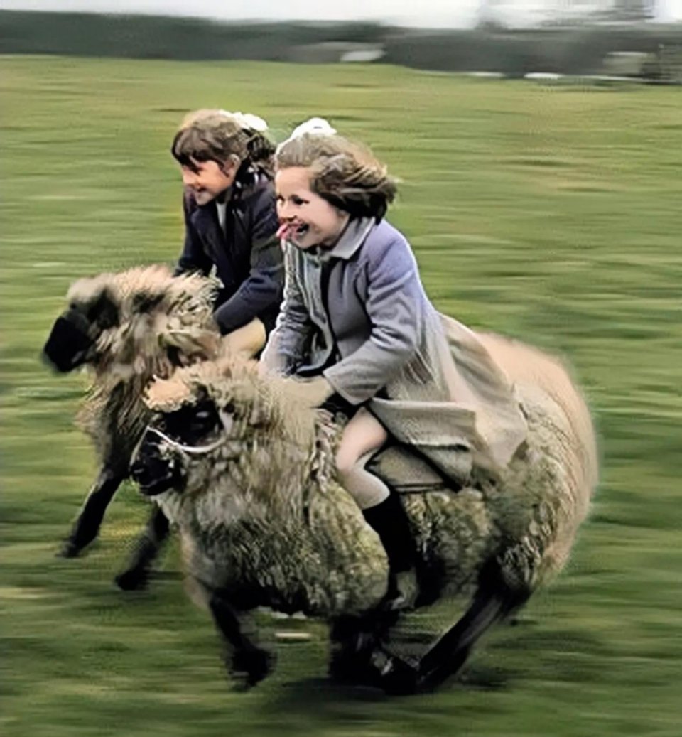 #历史那些事[超话]#1960年，在威尔士西部的一个小镇，这里组织了一场特殊的比