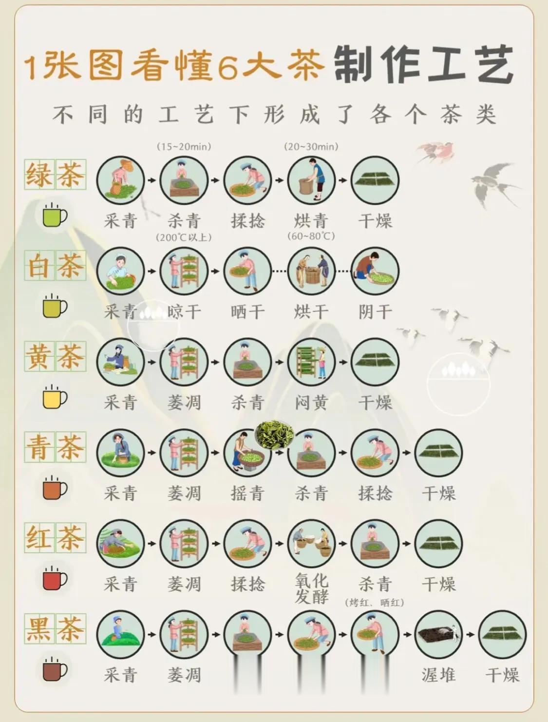 一张图片看懂六大茶类的制作工艺