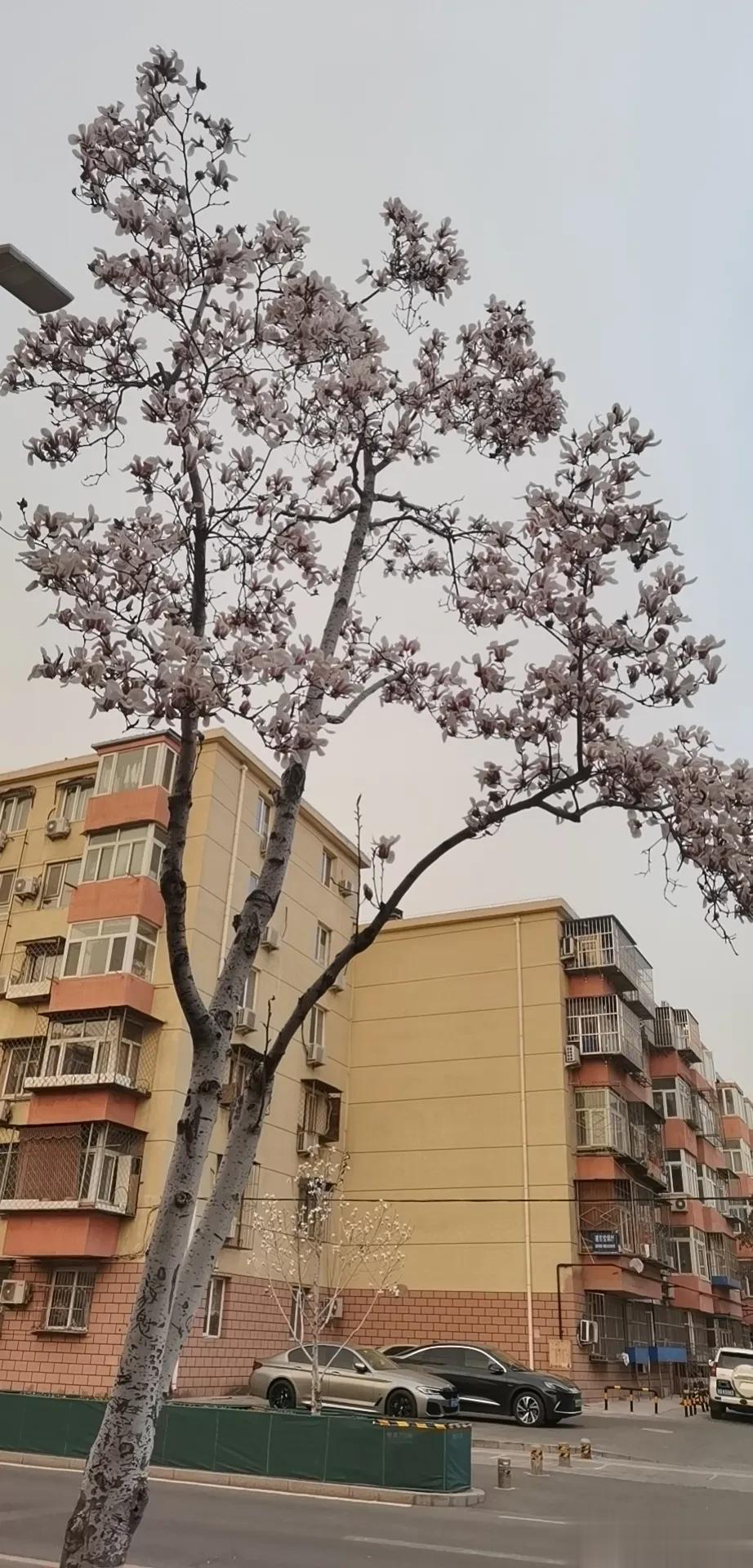 晚上和一个搞金融的朋友在鑫巴蜀吃饭。
我问：美国这一次算不算发生了金融危机？朋友
