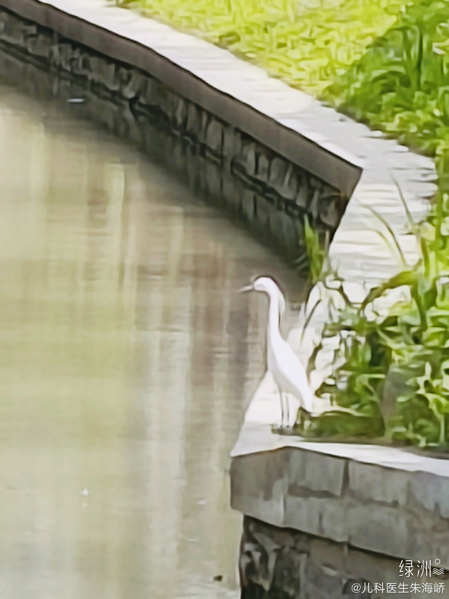 早上好 