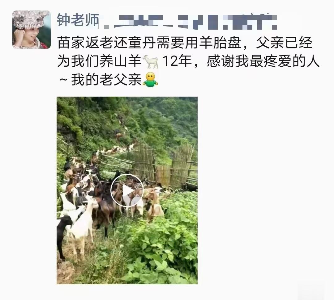  苗家返老还童丹成分：千年乌龟体液太sui野生羊胎盘bianfu体液养君子不养小