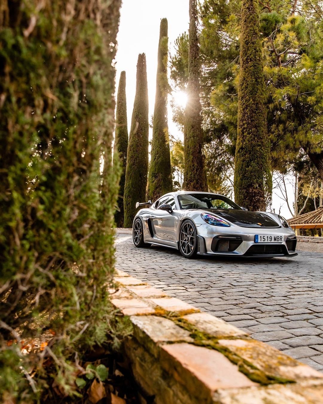 Porsche GT4 RS 🐸 ​​​