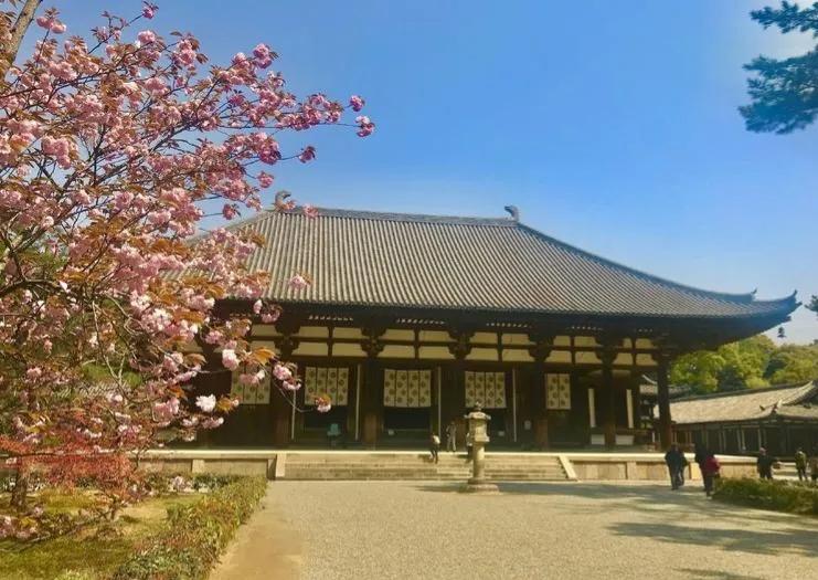 如果你去日本旅游，一定别忘记去看看，咱们中国人，建的房子，一千多年以来，一直被奉
