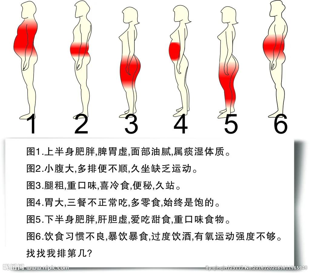 《黄帝内经》把肥胖分为三类:膏人、脂人、肉人。[左上]
       ①肥胖类型