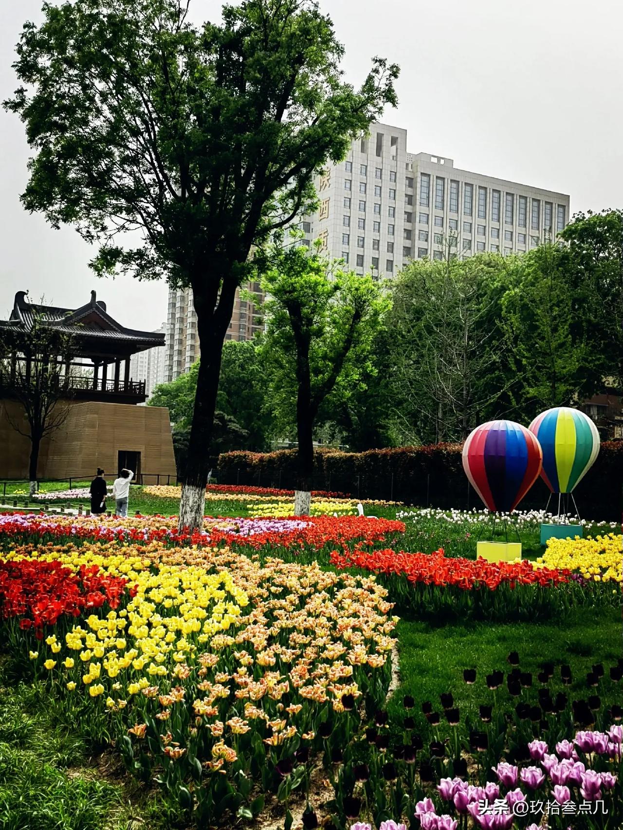 沙尘暴下兴庆公园的一分“倔强”！

