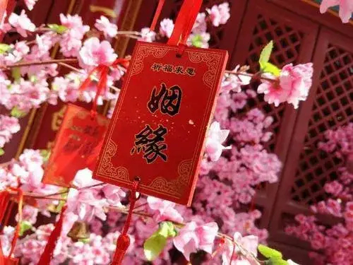 网友：由于我的工作不同，接触了太多的剩女，年龄都在三十岁到48岁之间，都未婚，其