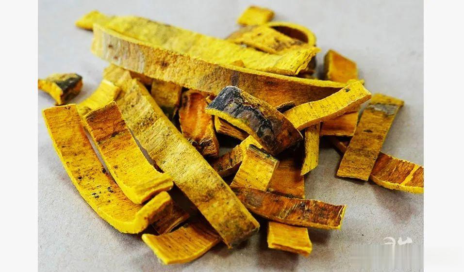 偏方醋调黄柏末，外敷治“痛风及关节肿痛”多例，收效迅速[赞][赞][赞]作者/孙