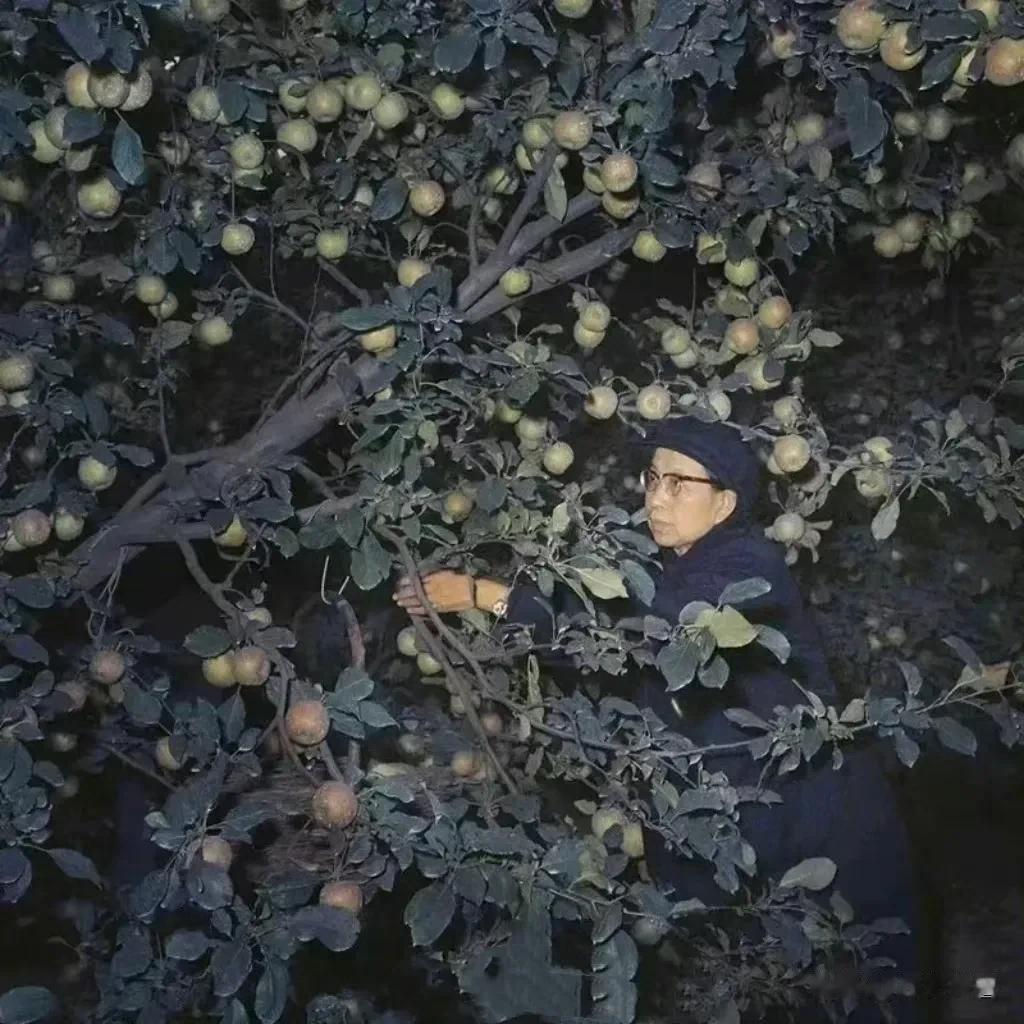 这张罕见的老照片拍摄于1976年10月6日傍晚，地点是北京。据说那天的下午江青感