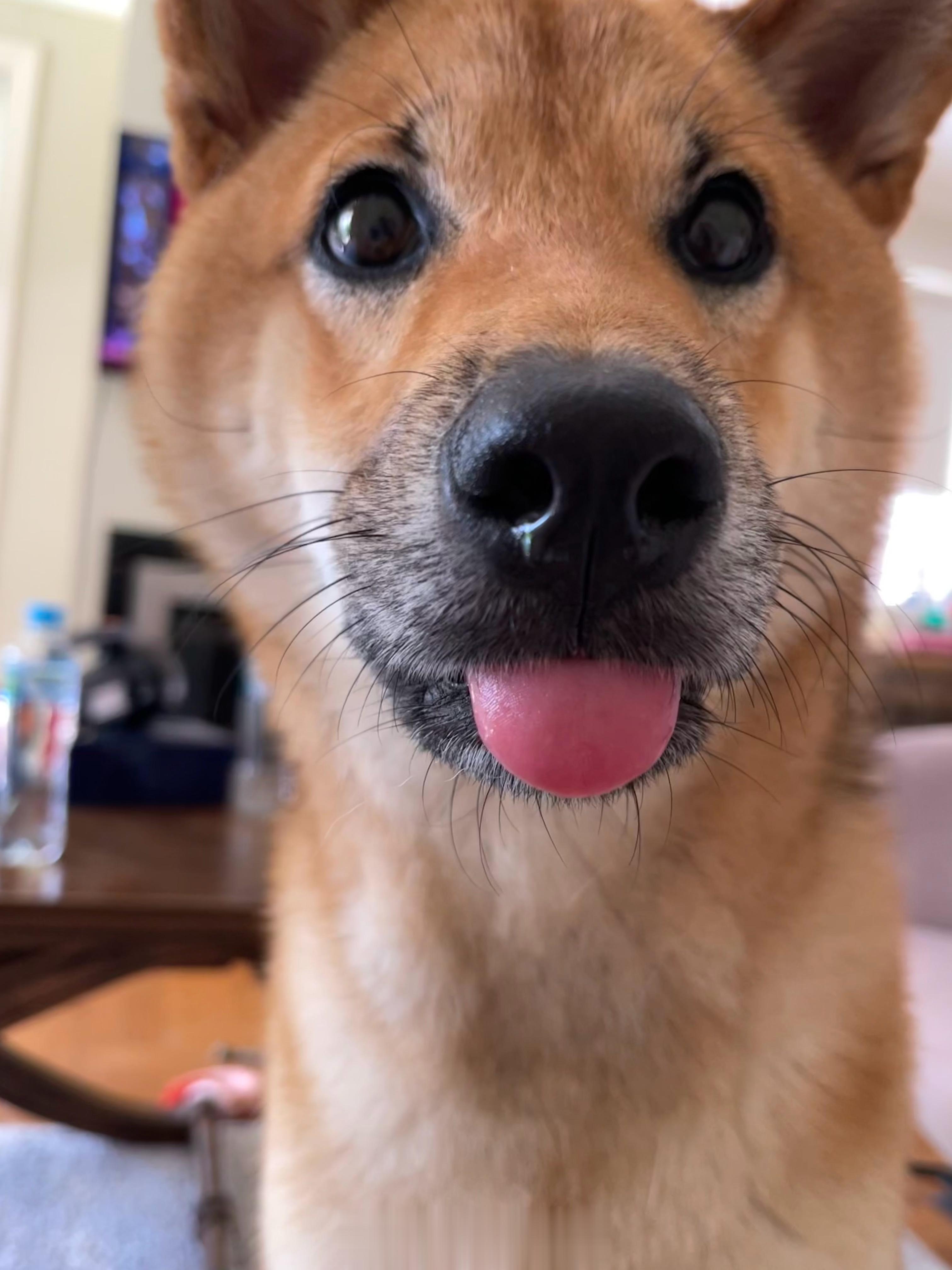 鼻涕宝宝 ​​​
