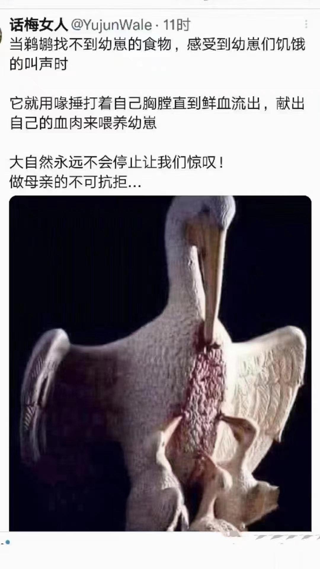 蹲起就头晕？那是身体弱、气血虚，此方久服效果佳！[赞]原创 无  仰望岐黄 有些