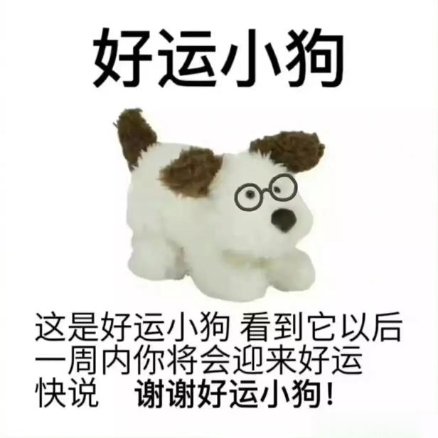 今天是 #国际小狗日# 双龙抬头加上幸运小狗，今天开始一定好运满满！大家记得说：