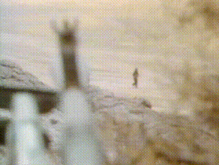 1987年3月6日一群阿富汗游击武装为了阻止苏军坦克的进攻，直接背满炸弹冲上去发