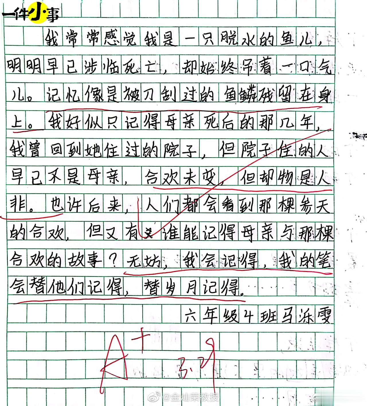 【#小学生好像真的读懂了史铁生#】#六年级小学生的文字能有多动人#文笔不错[go