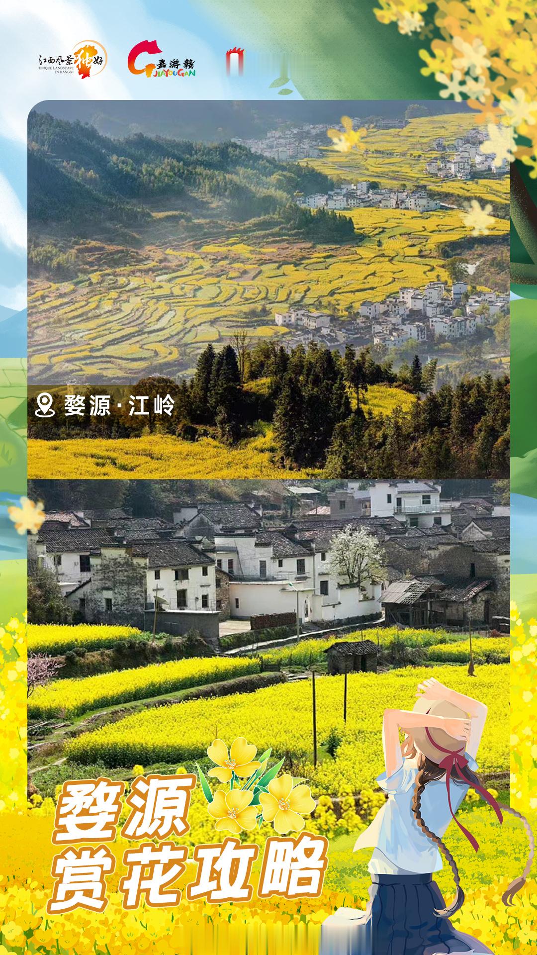 【一沐春风万顷黄，要说春天在江西什么花海最心醉，那一定是油菜花！#云南人眼里的江