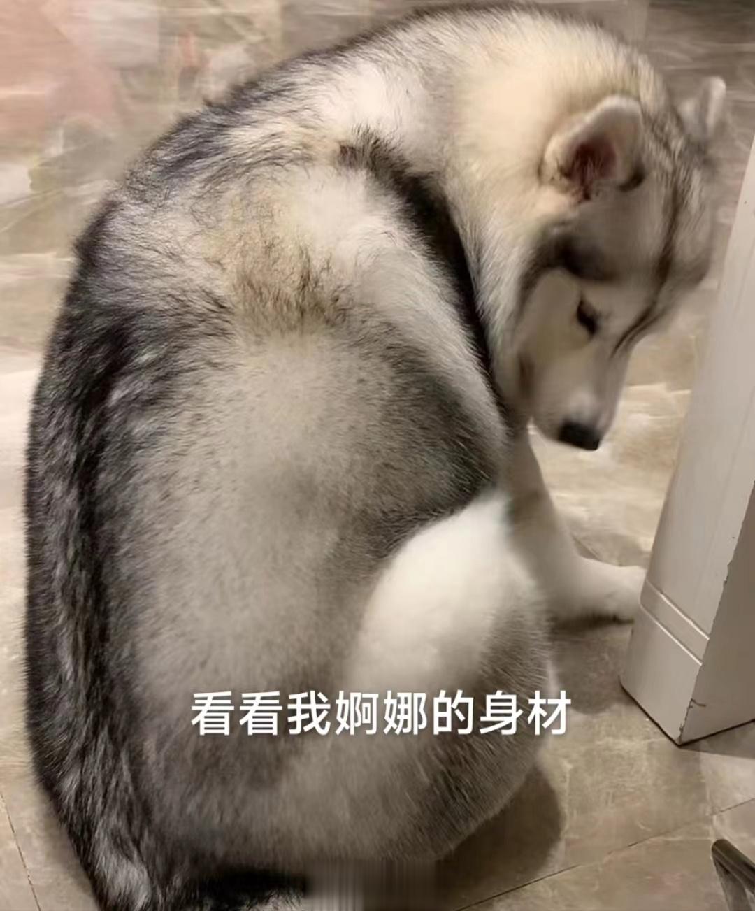又是一年樱花季🌸 ​​​