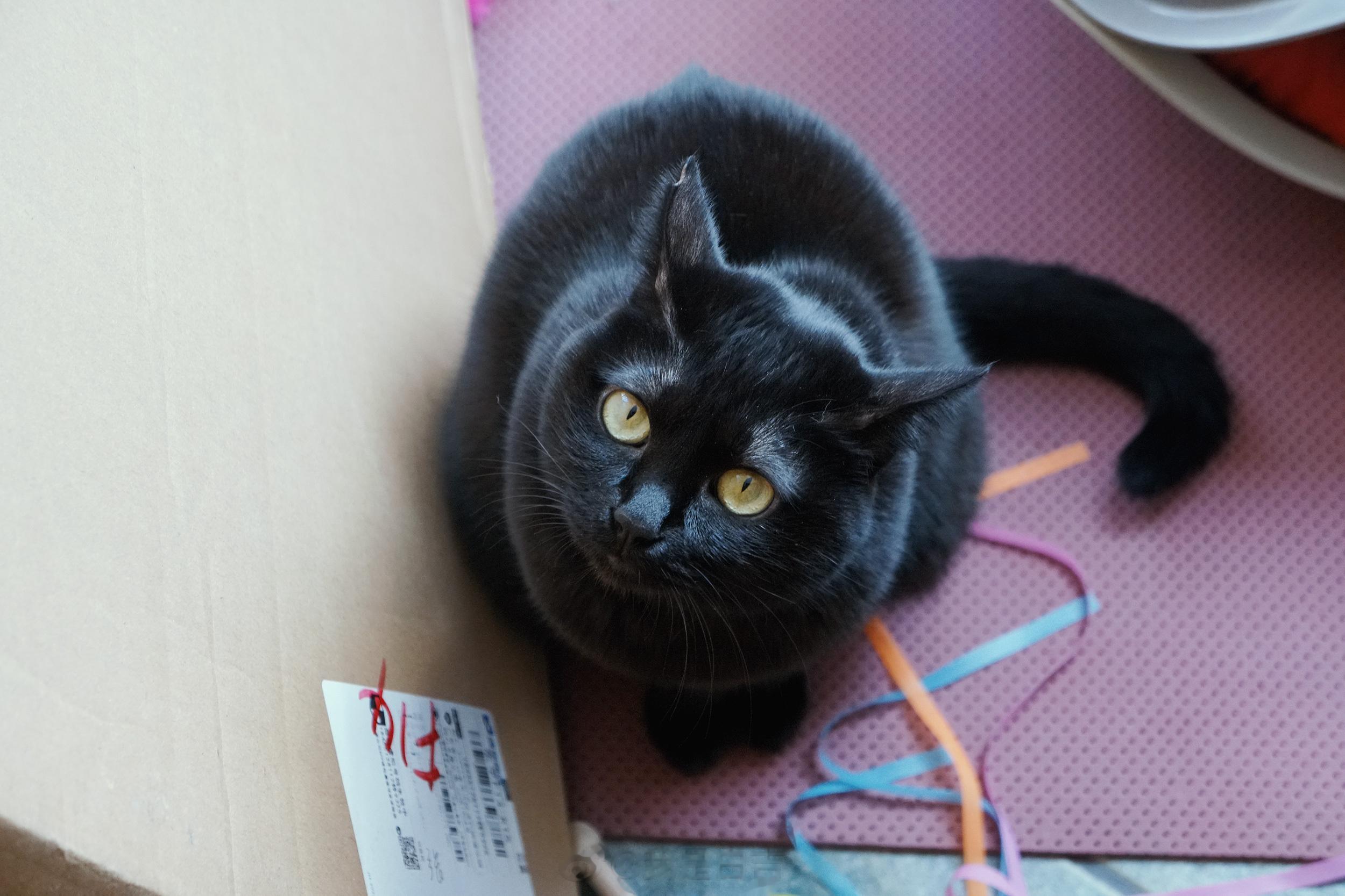 原來蝦蝦長這樣～ ​​​