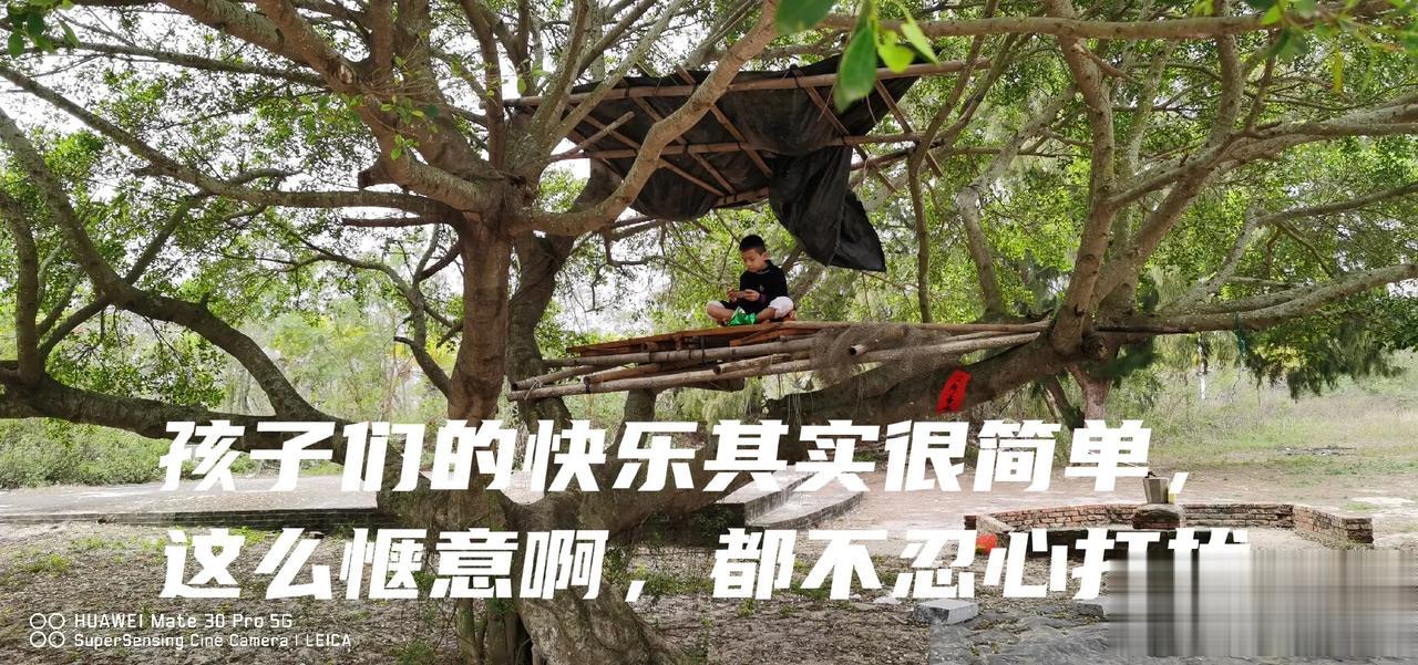 【原创】[行•拍中国-2023-03][广西自治区•北海市银海区•在树上玩手机的