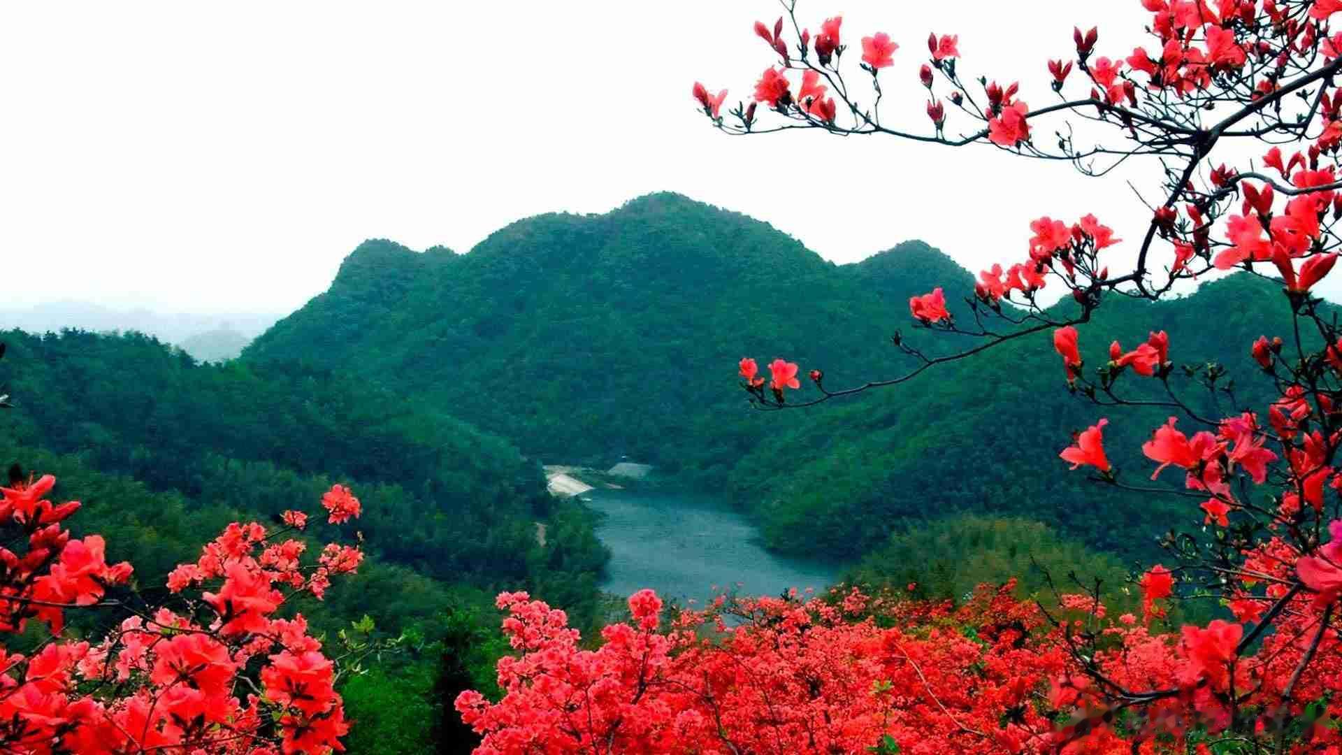 能给人底气和自信的，从来都不是长相与装饰，而是一个人解决问题的能力。 ​​​