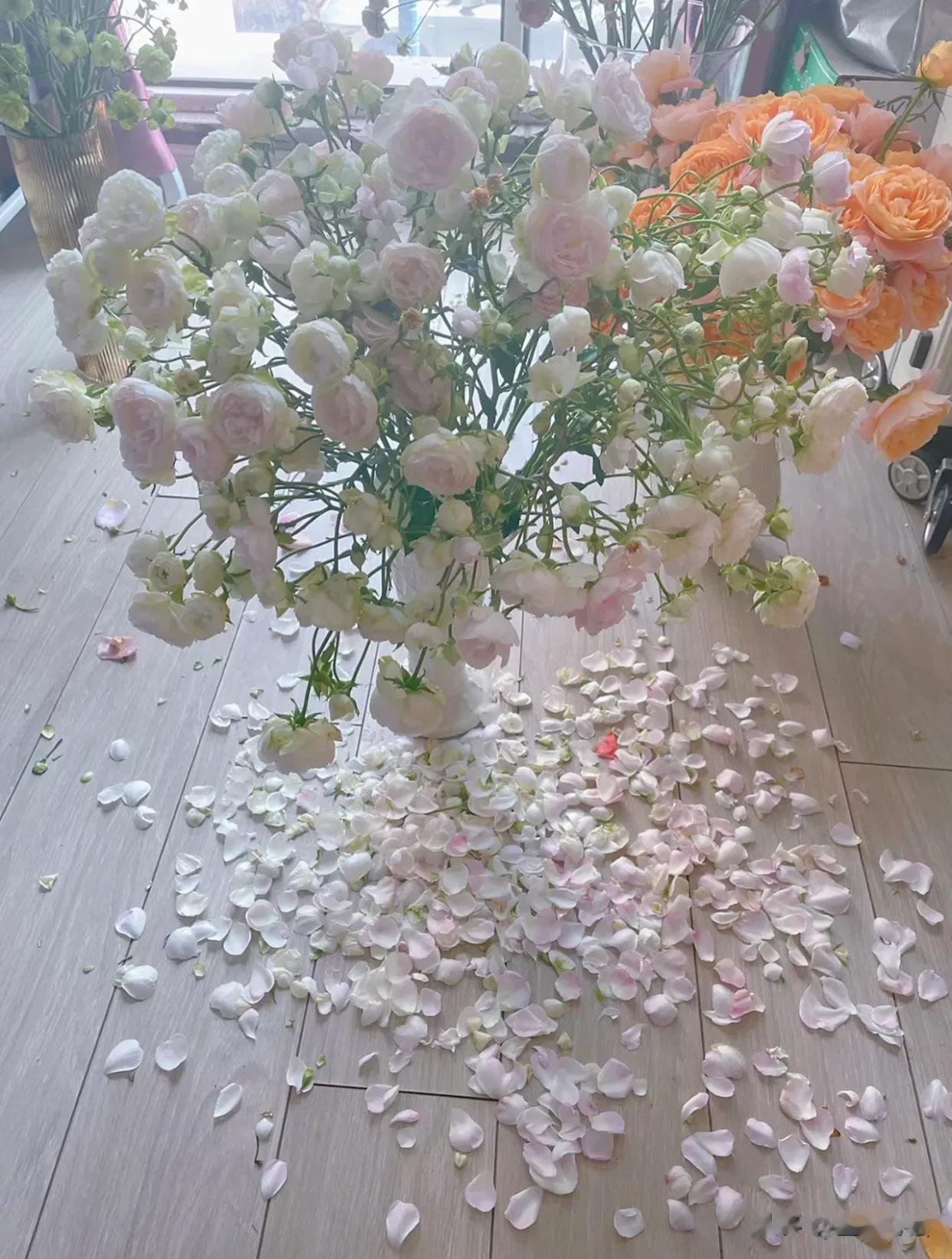 我只是挪了一下，粉泡芙她就噶了……
泡芙说：我努力了，但我开不了，
要不给您表演
