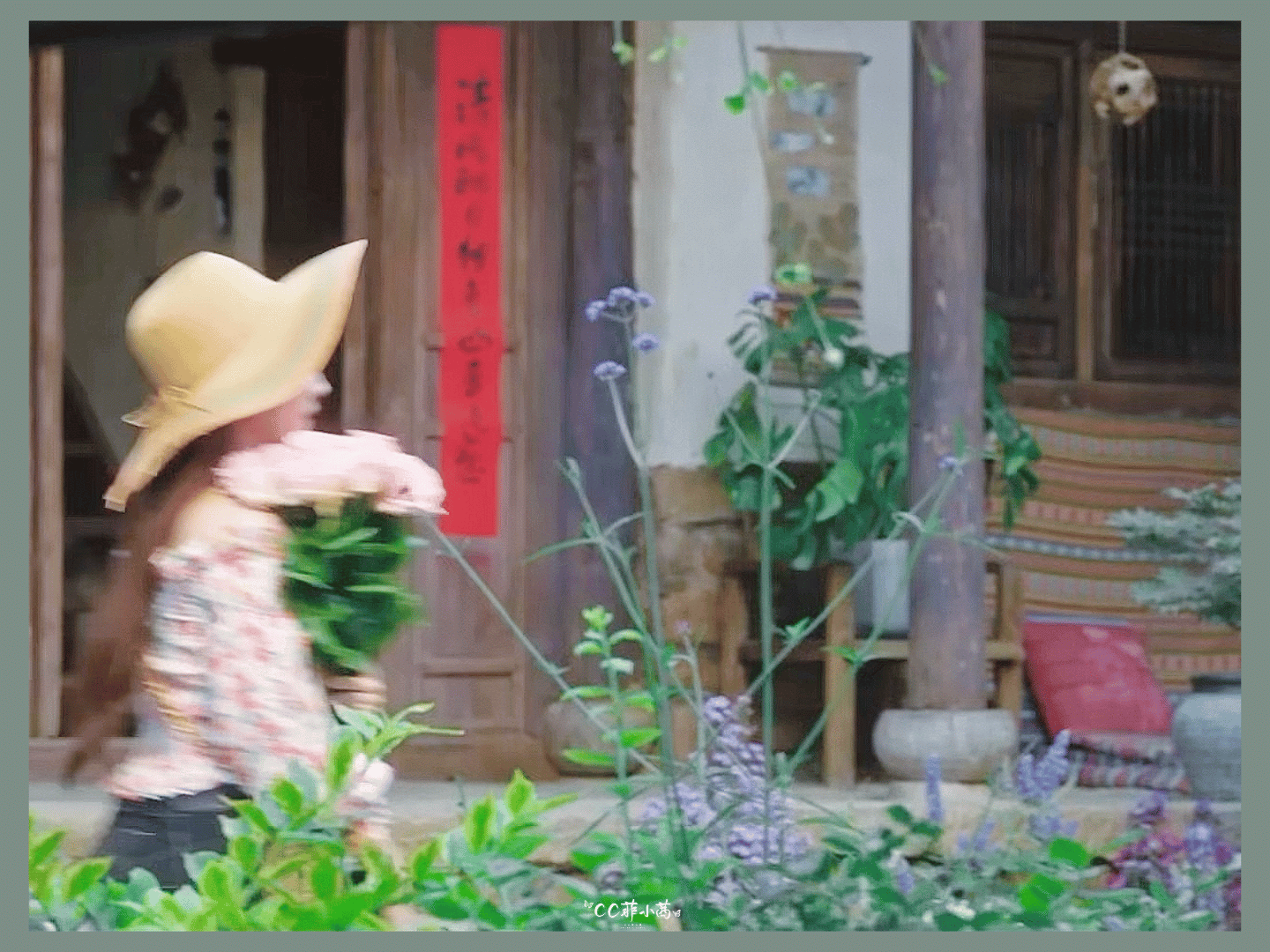 #刘亦菲# × 去有风的地方 