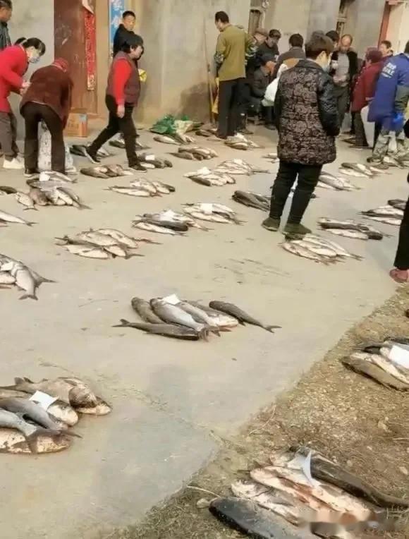 抽签可以被认为是一种公平的分配方式，因为它将所有参与者放在同等的起跑线上，每个人