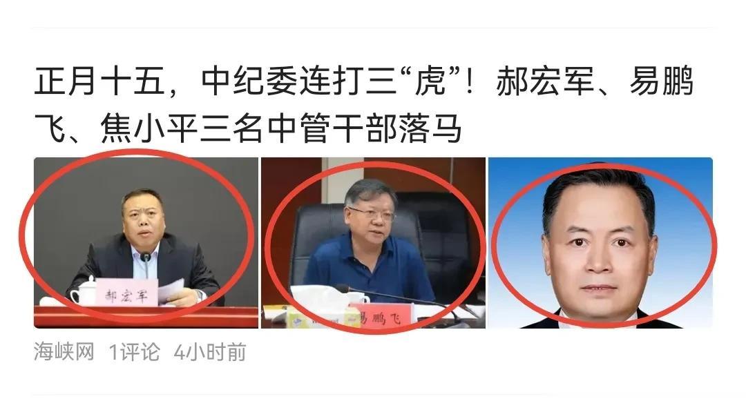 正月十五，提灯笼、打老虎！
开年“三虎”之后，纪委监委再度出马、净化自身。
郝宏