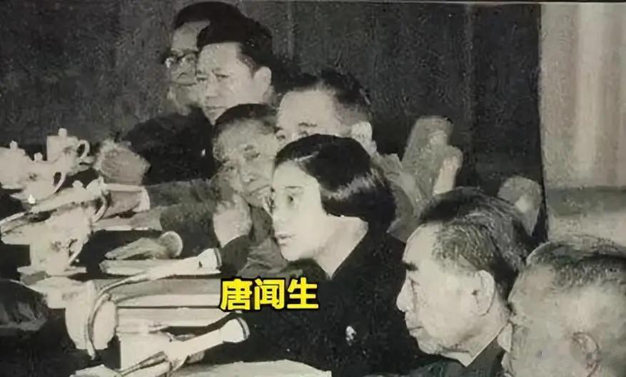 曾被毛主席差点“吓晕”的唐闻生，其故事可谓传奇。
1966年，亚非作家会议在京闭